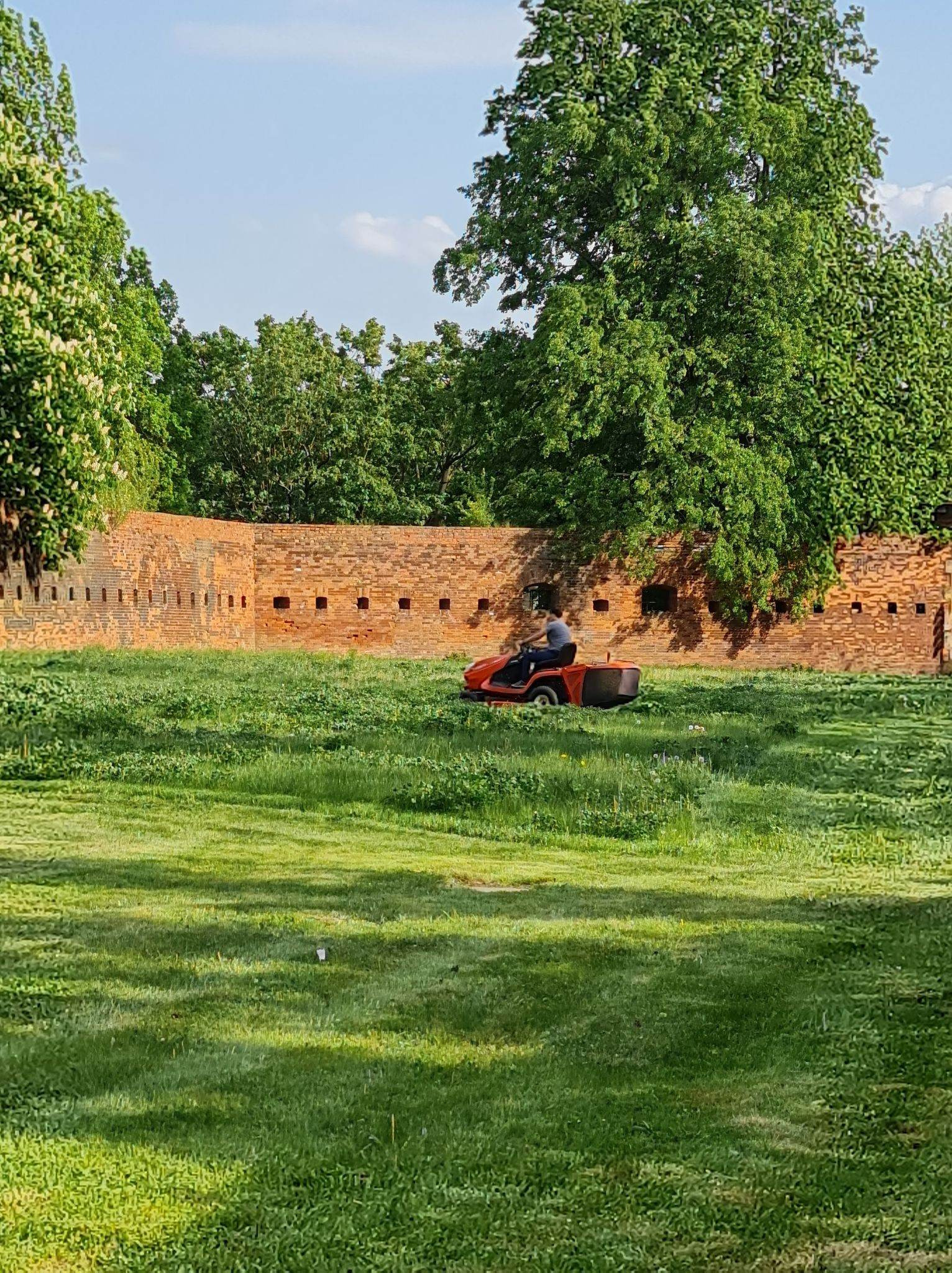 Mężczyzna na czerwonej kosiarce traktorowej kosi wysoką trawę na tle ceglanego muru z otworami strzelniczymi i zielonych drzew.