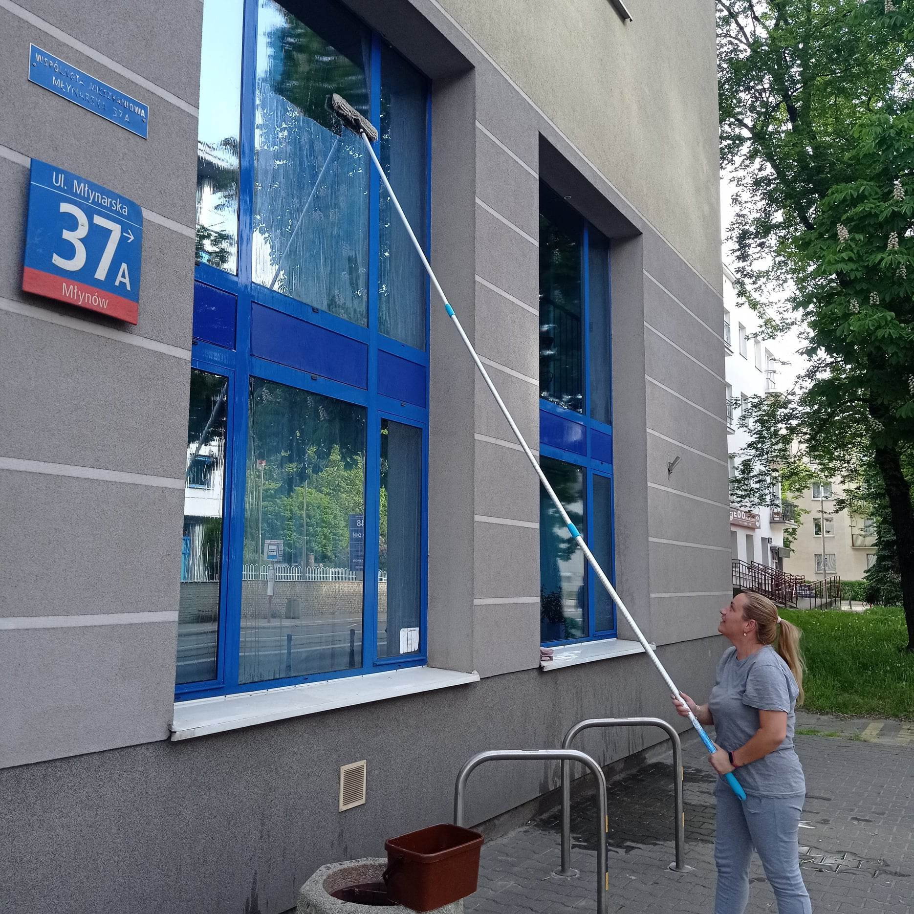 Kobieta myje okna na wysokości przy użyciu długiego kija z mopem, widoczny budynek z niebieskimi ramami okiennymi i tabliczka z adresem 'Ul. Młynarska 37A'.