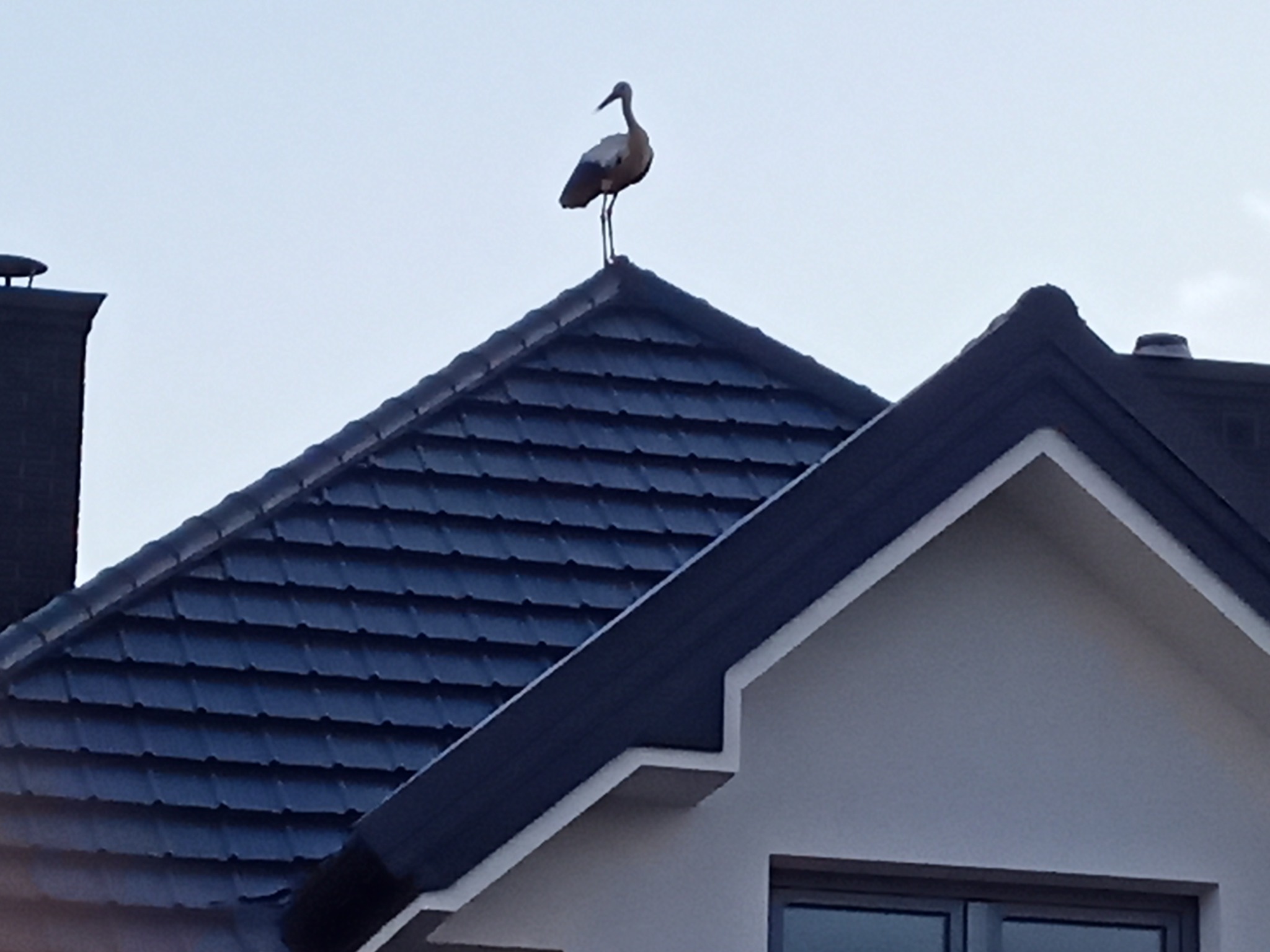 A to już po zamieszkaniu.;-)