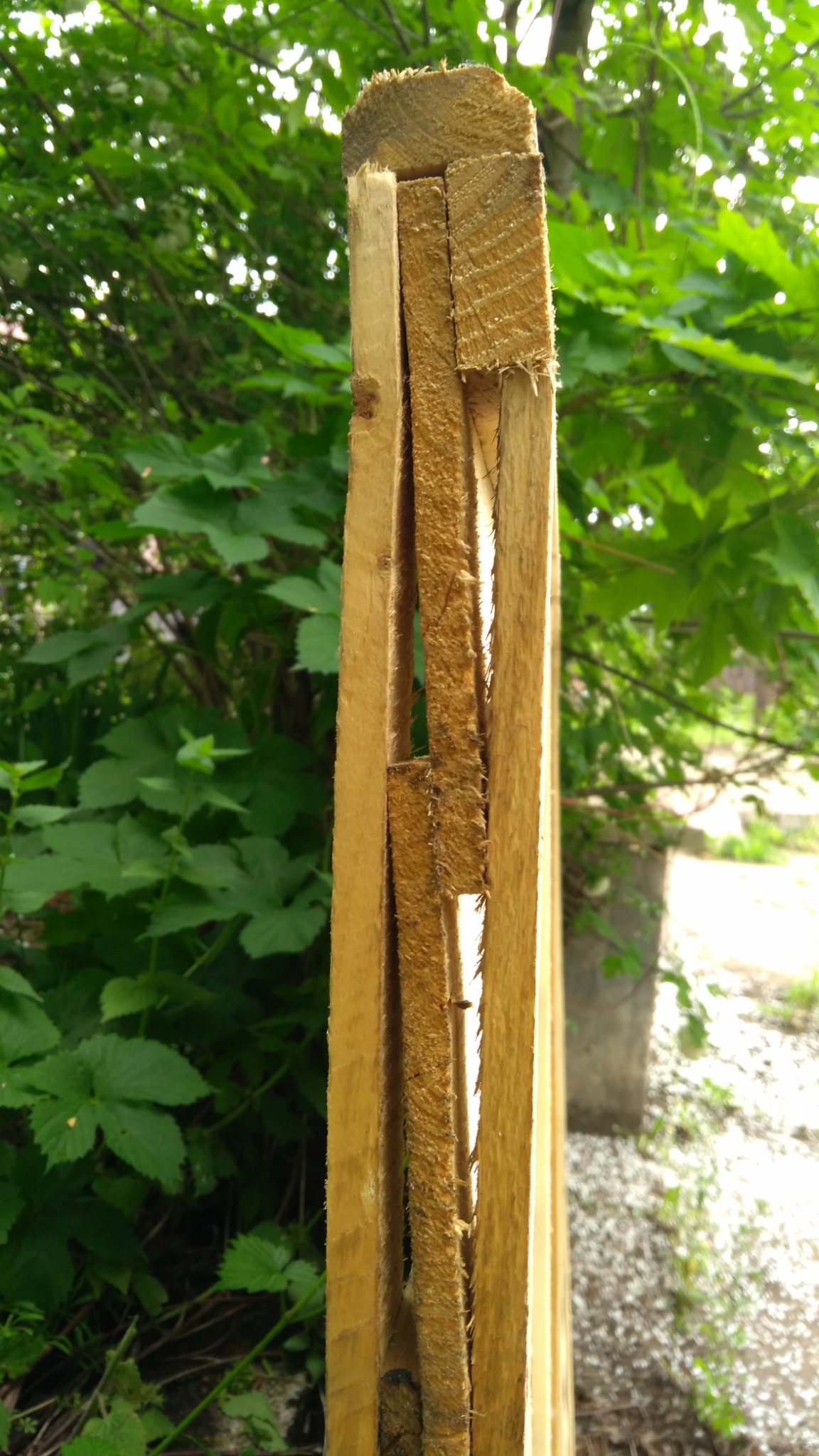 Fragment drewnianej konstrukcji z widocznymi warstwami drewna i chropowatą fakturą, na tle zieleni.