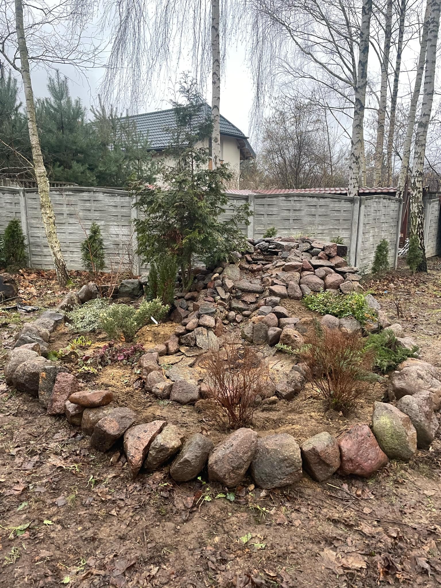 Ogród skalny z kaskadą ułożoną z kamieni różnej wielkości, otoczony obwódką z większych kamieni, z młodymi drzewkami iglastymi i liściastymi, na tle szarego, betonowego ogrodzenia i domu.