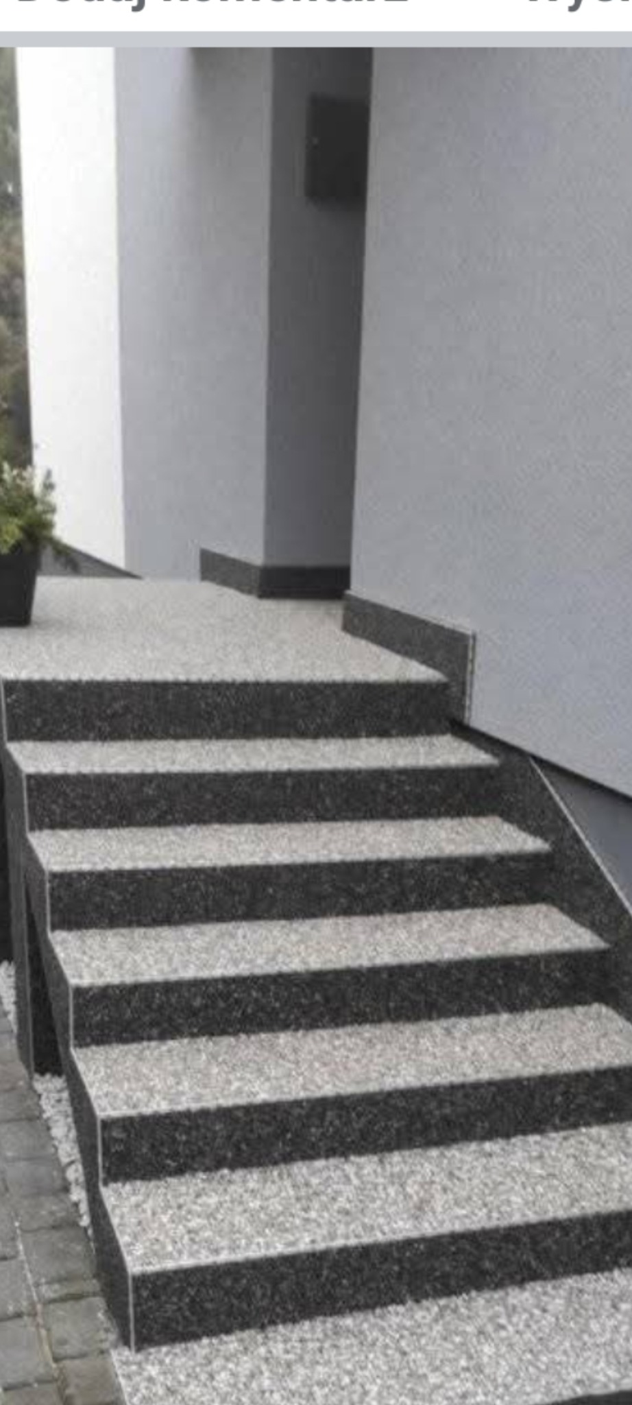 Zewnętrzne schody z szarego kamienia prowadzące do budynku. Widoczne detale wykończenia, donica z rośliną przy schodach i fragment kostki brukowej.