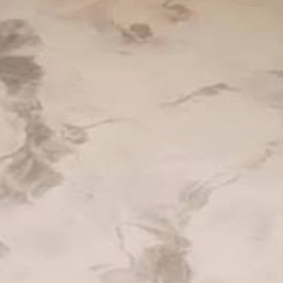 Jasna posadzka z delikatnym, marmurkowym wzorem w odcieniach beżu i szarości. Gładka powierzchnia, bez widocznych łączeń, z subtelnym połyskiem.