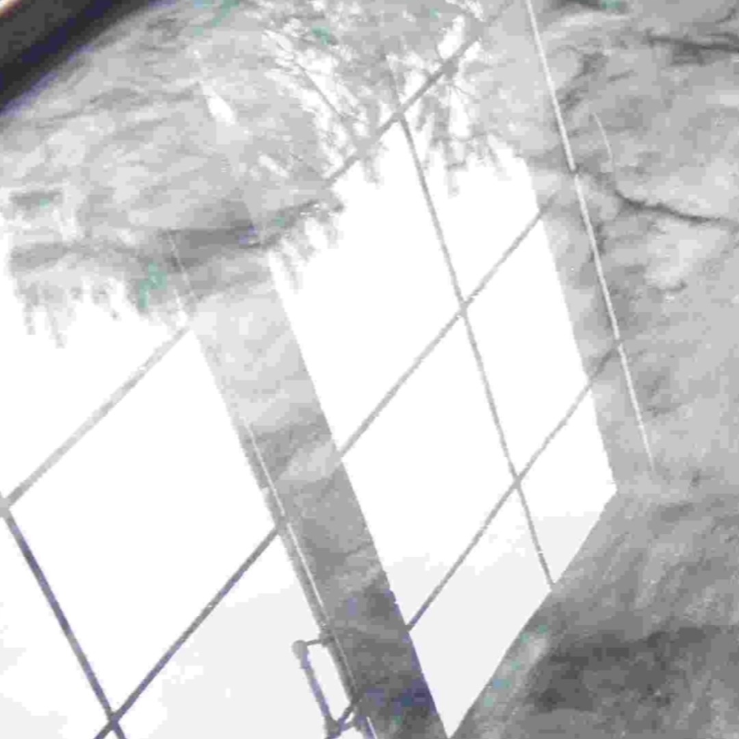 Błyszcząca, szklana powierzchnia z widoczną siatką podziału, odbijająca rozmyty obraz drzew i nieba, tworząc abstrakcyjną kompozycję.