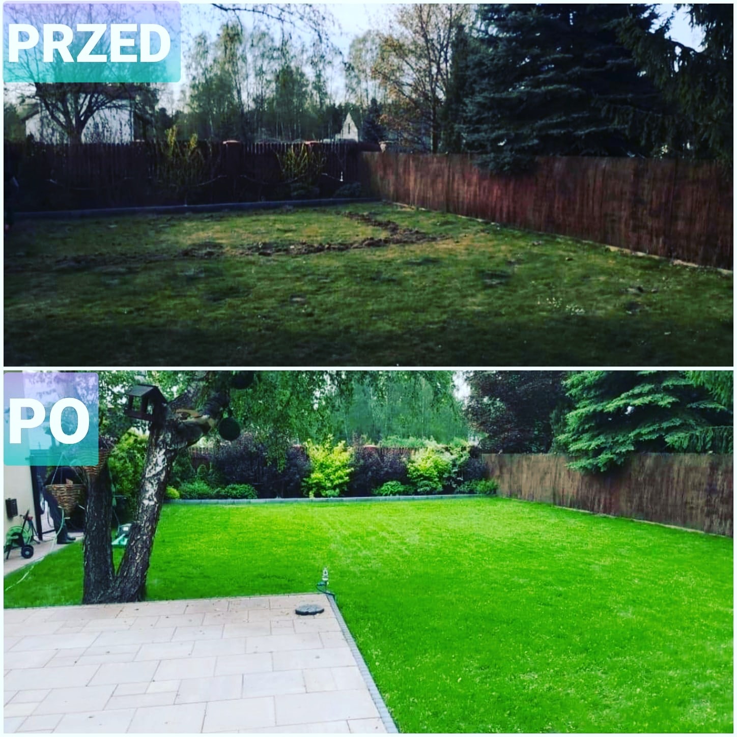 Porównanie stanu trawnika przed i po renowacji: zaniedbana darń z ubytkami przekształcona w gęsty, zielony dywan, z widoczną kostką brukową na obrzeżach i starannie przyciętymi krzewami w tle.