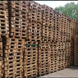 www.paletywroclaw.pl - Palety drewniane nowe i używane. Skup, produkcja - Stosy drewnianych palet euro ułożone w regularne kolumny na zewnątrz, z widoczną zielenią drzew w tle.