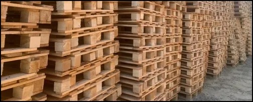 Stosy jasnych, drewnianych palet euro ułożonych jeden na drugim na zewnątrz, widoczne niewielkie różnice w odcieniach drewna.