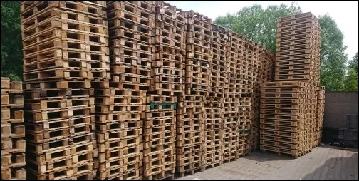 Stosy drewnianych palet euro ułożone w regularne kolumny na zewnątrz, z widoczną zielenią drzew w tle.