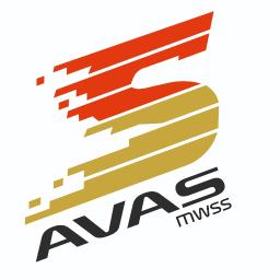 AVAS mwss Sp. z o.o. - Samochody osobowe używane Zielona Góra