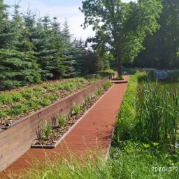 Drewniany pomost prowadzący wzdłuż stawu, otoczony roślinnością i drzewami iglastymi. Uwagę zwracają subtelne lampki oświetlające ścieżkę i starannie dobrane rośliny wzdłuż krawędzi pomostu.