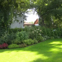 Zadbany ogród przydomowy z równo przystrzyżonym trawnikiem, obrzeżami z wrzosów i różnorodną roślinnością, w tle budynki mieszkalne częściowo zasłonięte drzewami.