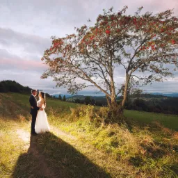 Para młoda w objęciach na polnej drodze, pod rozłożystym drzewem jarzębiny z czerwonymi owocami, w tle pagórkowaty krajobraz i zachmurzone niebo.