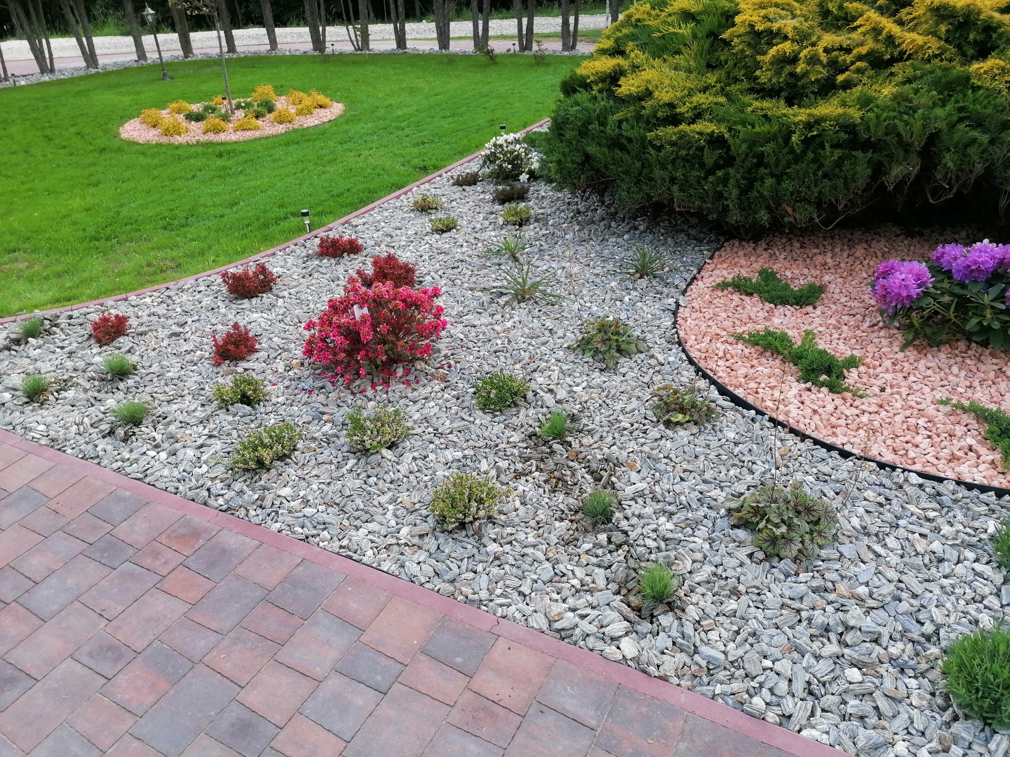 Ogród z różnorodnymi roślinami, krzewami i kwiatami, wysypany szarym i różowym żwirem, obok ścieżka z kostki brukowej.