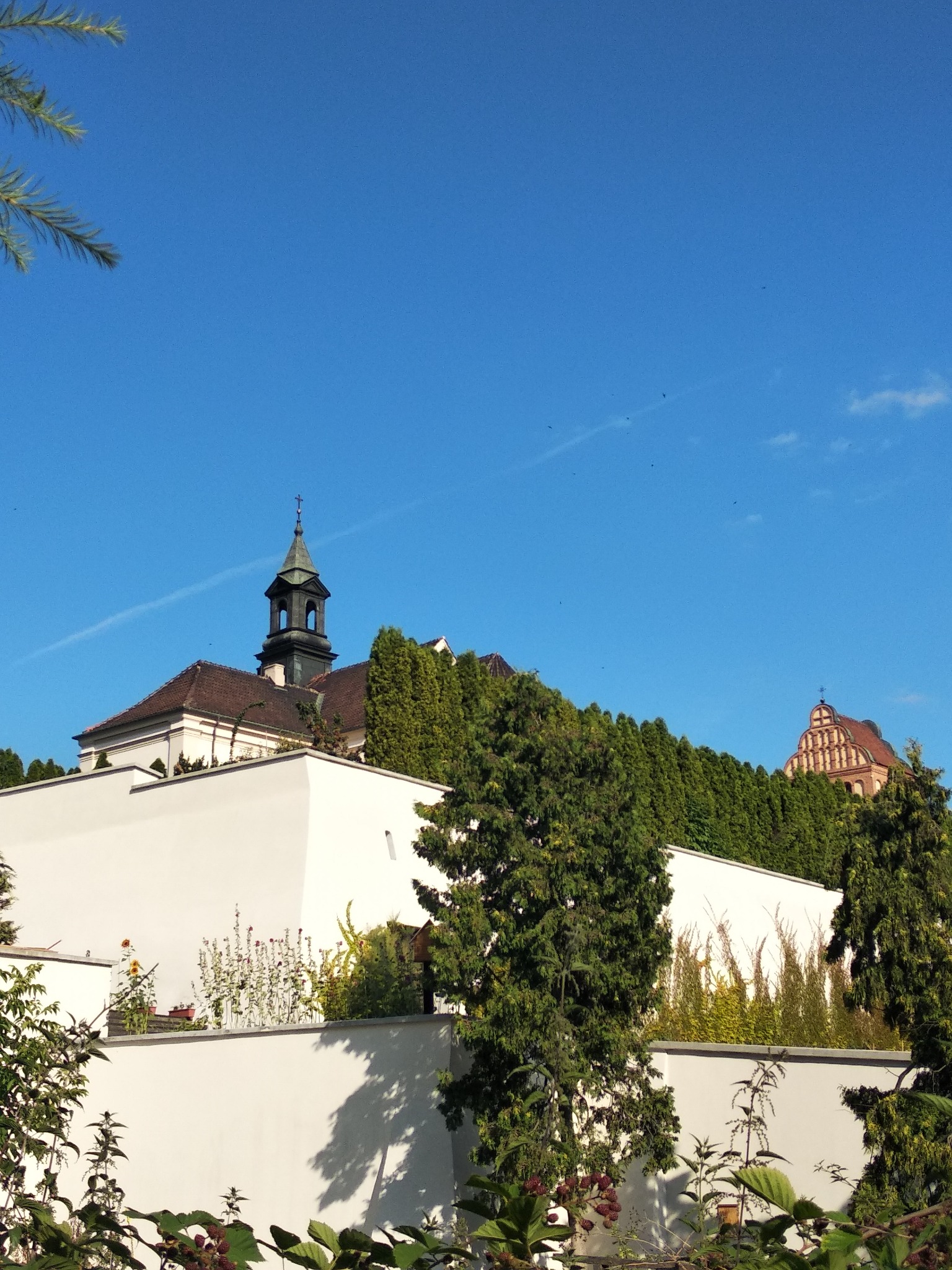 Biały mur okalający budynki sakralne z wieżyczkami na tle błękitnego nieba, częściowo przysłonięty zielenią drzew i krzewów.