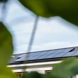 Moduły fotowoltaiczne w wykonaniu Full Black