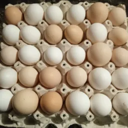 Kartonowe wytłoczki wypełnione białymi i beżowymi produktami rolnymi, widoczne lekkie zabrudzenia na kilku sztukach.