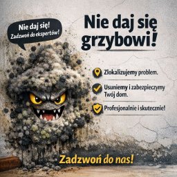 Twój dom zasługuje na czystość! Profesjonalnie usuwamy pleśń i zabezpieczamy ściany.”