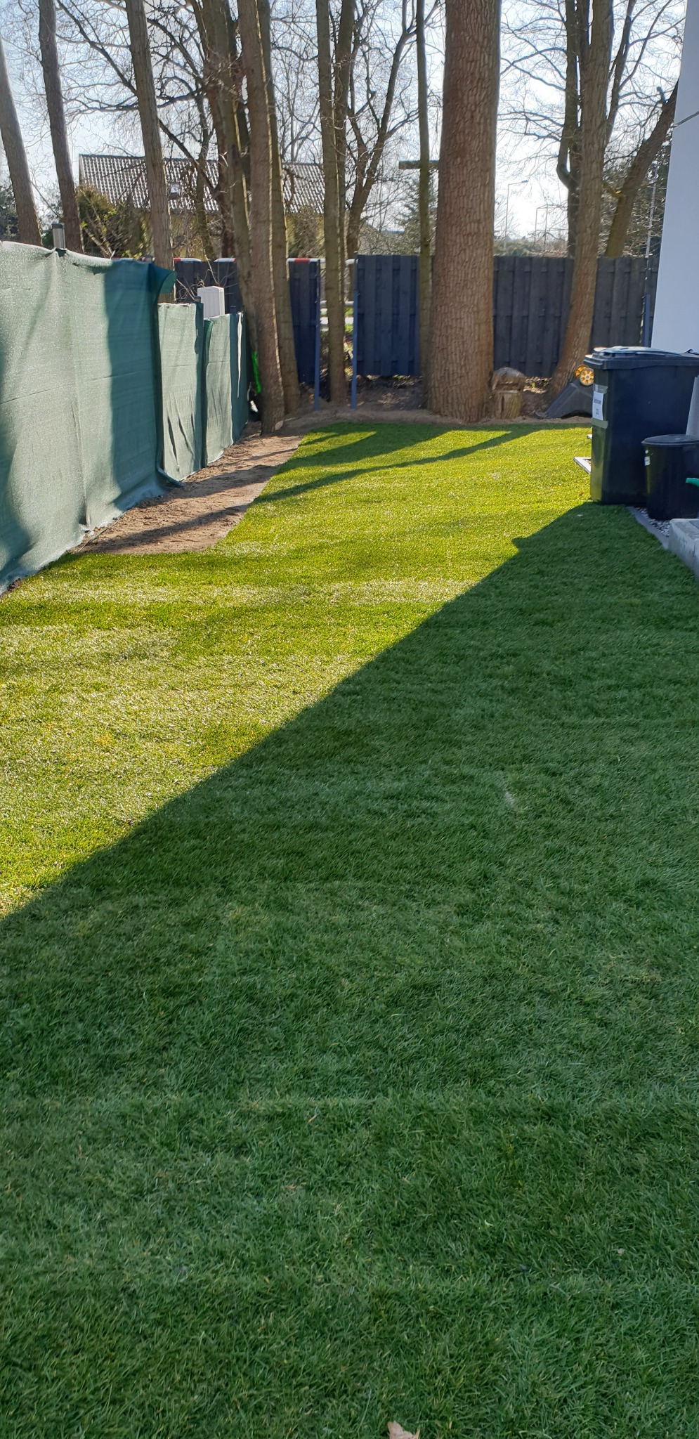 Świeżo założony trawnik z rolki, widoczne drzewa w tle, szara siatka ogrodzeniowa i ciemne pojemniki na śmieci przy ścianie budynku.