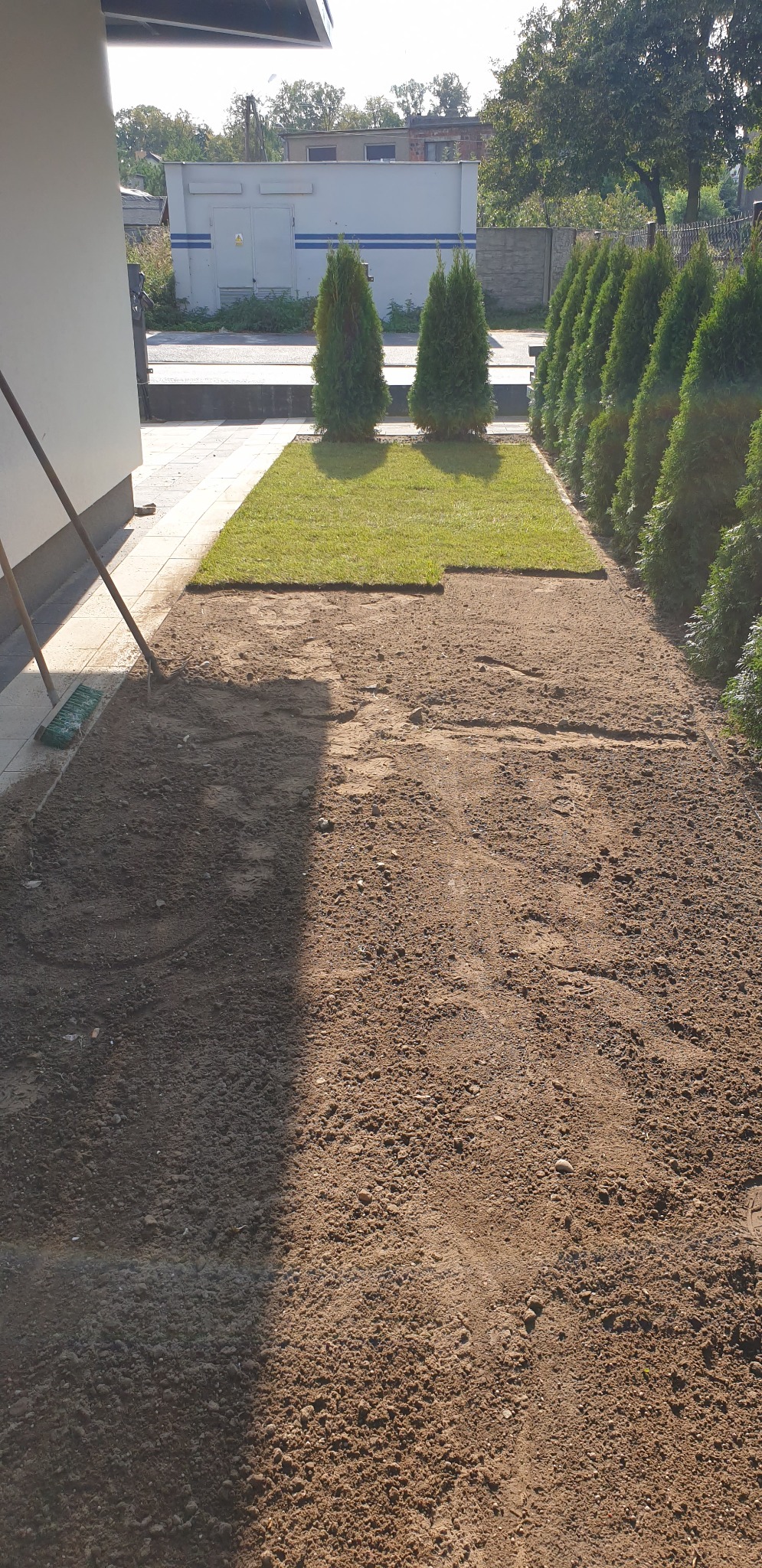 Przygotowany teren pod trawnik z ułożonymi fragmentami darni, widoczne narzędzia ogrodnicze oparty o ścianę budynku, rząd tuj na tyłach działki i budynek gospodarczy w tle.