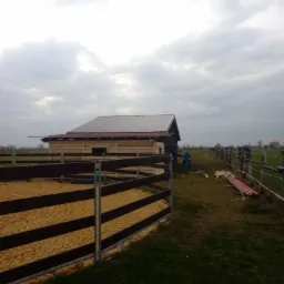 Budowa drewnianej wiaty w Strzelinie z wybiegiem dla zwierząt, widoczne elementy konstrukcyjne i ogrodzenie.