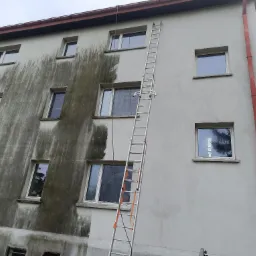 Fragment budynku wielorodzinnego z widocznym efektem czyszczenia elewacji, gdzie lewa strona jest zabrudzona, a prawa czysta, z przystawioną aluminiową drabiną.
