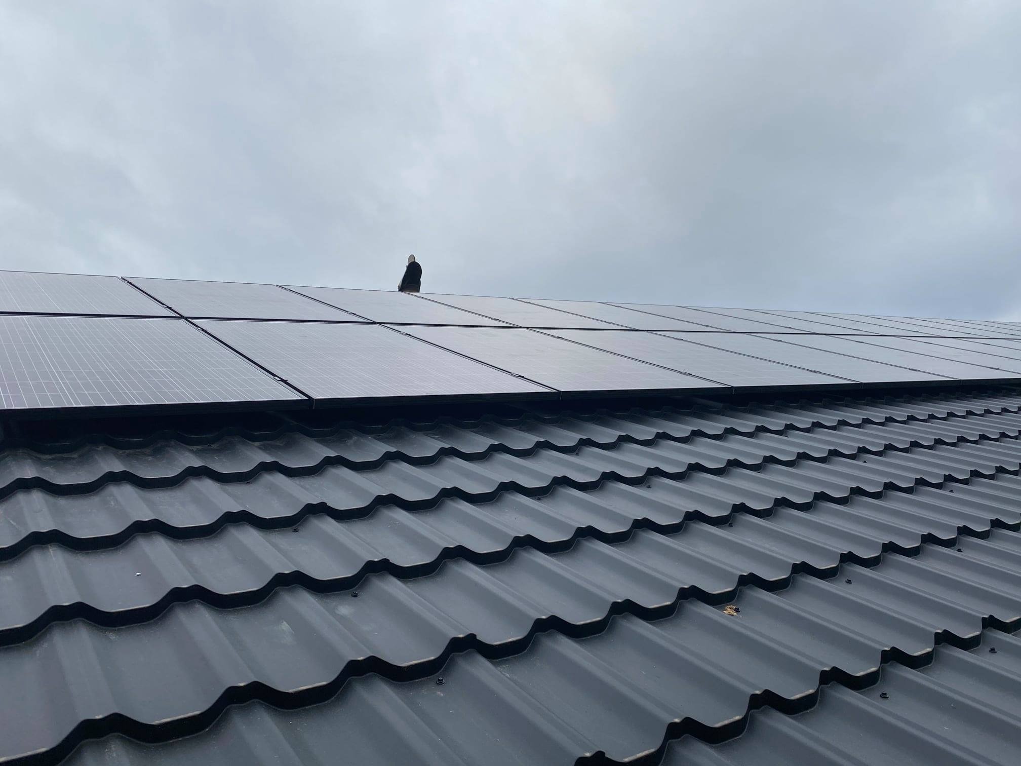 Czarny dach z blachy trapezowej z zamontowanymi panelami słonecznymi w pochmurny dzień. Na jednym z paneli siedzi ptak.