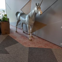 Królestwo wykładzin Łukasz Ciupak