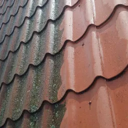 Częściowo wyczyszczona, czerwona dachówka ceramiczna, na której widoczne są ślady mchu i zabrudzeń, z wyraźnym podziałem na obszar po czyszczeniu i przed.