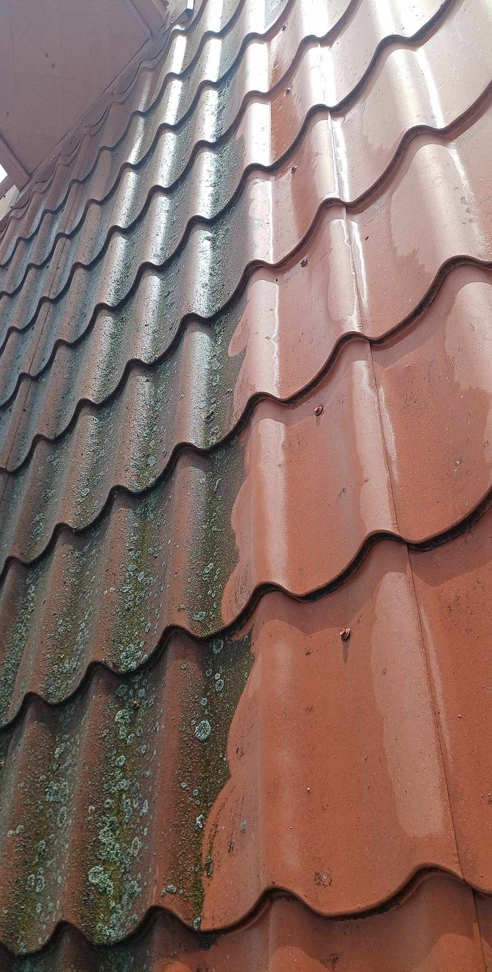 Częściowo wyczyszczona, czerwona dachówka ceramiczna, na której widoczne są ślady mchu i zabrudzeń, z wyraźnym podziałem na obszar po czyszczeniu i przed.