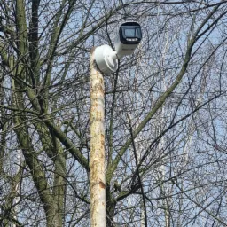 Kamera monitoringu na metalowym słupie, tło stanowią nagie gałęzie drzew i błękitne niebo.