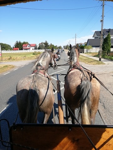 przejażdżki bryczką w zaprzęgu parokonnym