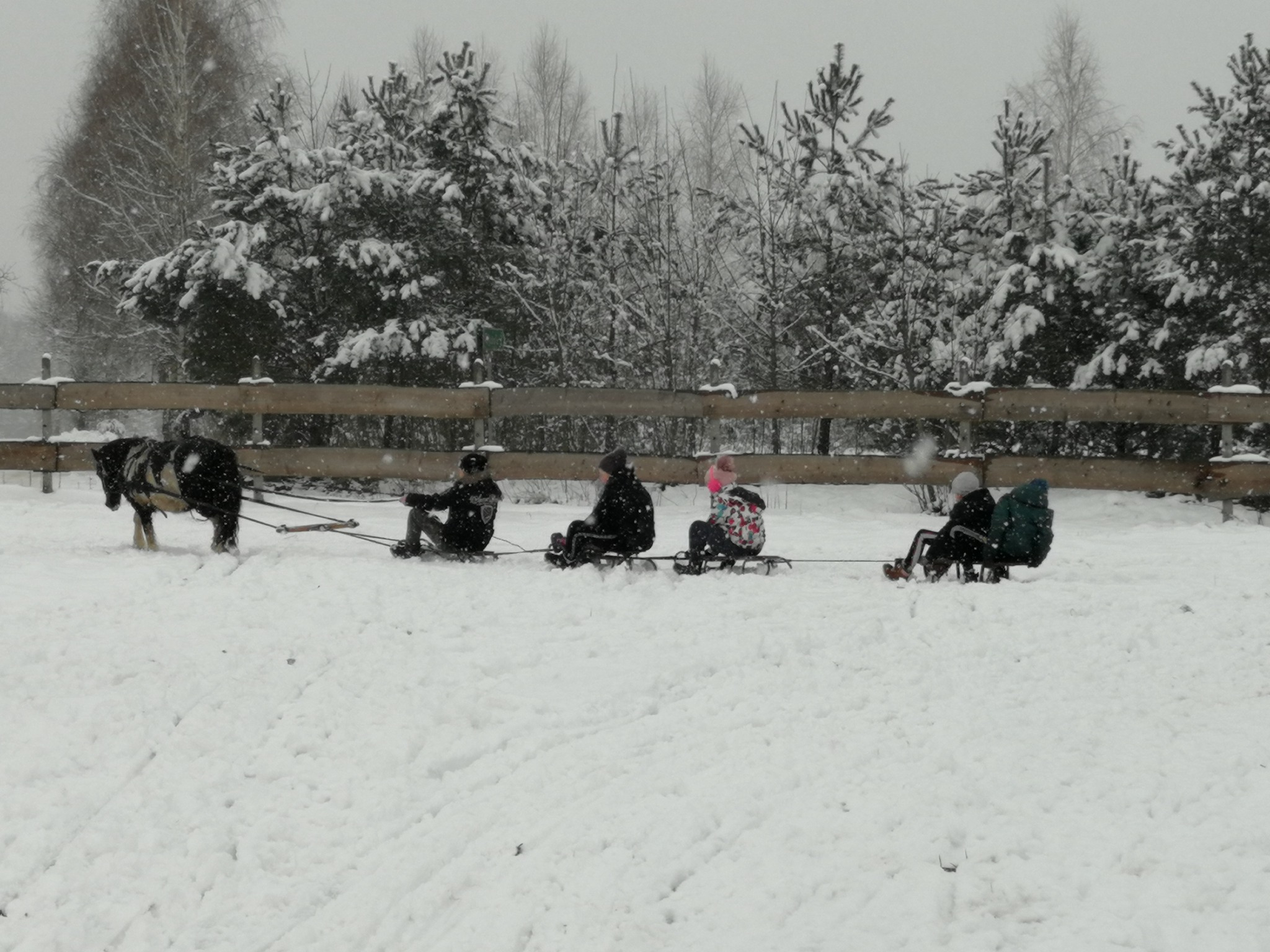 kulig mały z kucykiem dla dzieci
