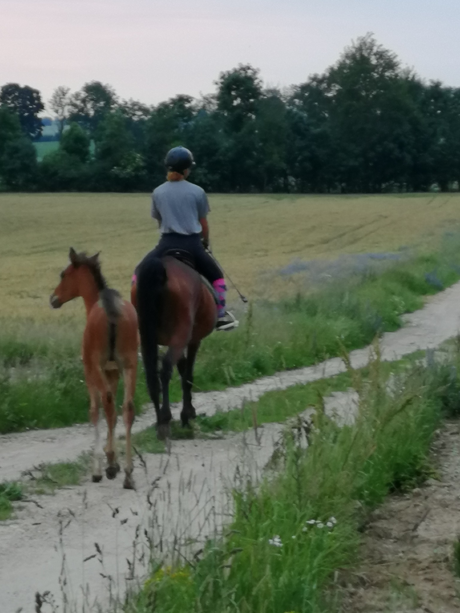 jazda w terenie dla zaawansowanych