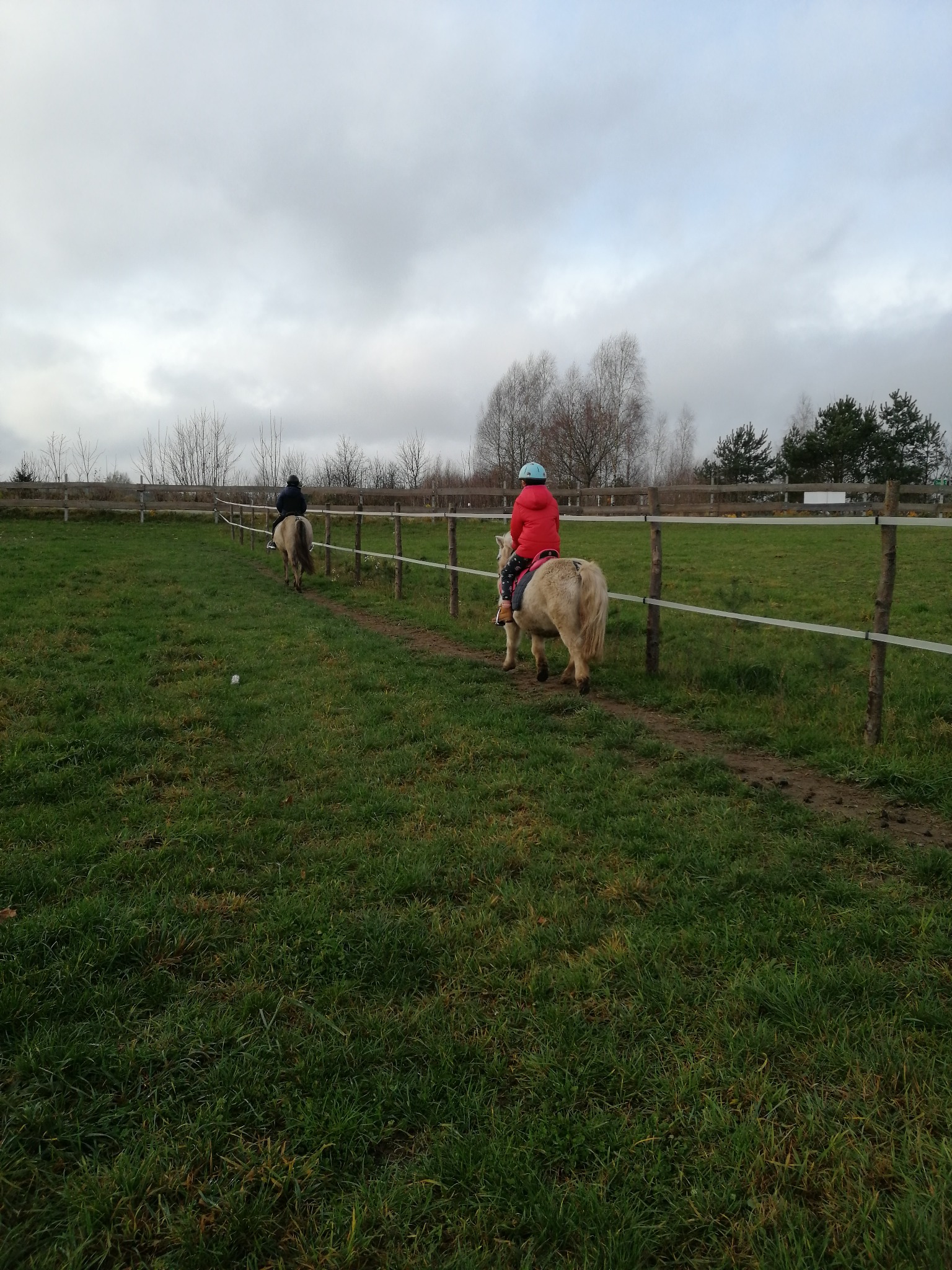jazda na ujeżdżalni