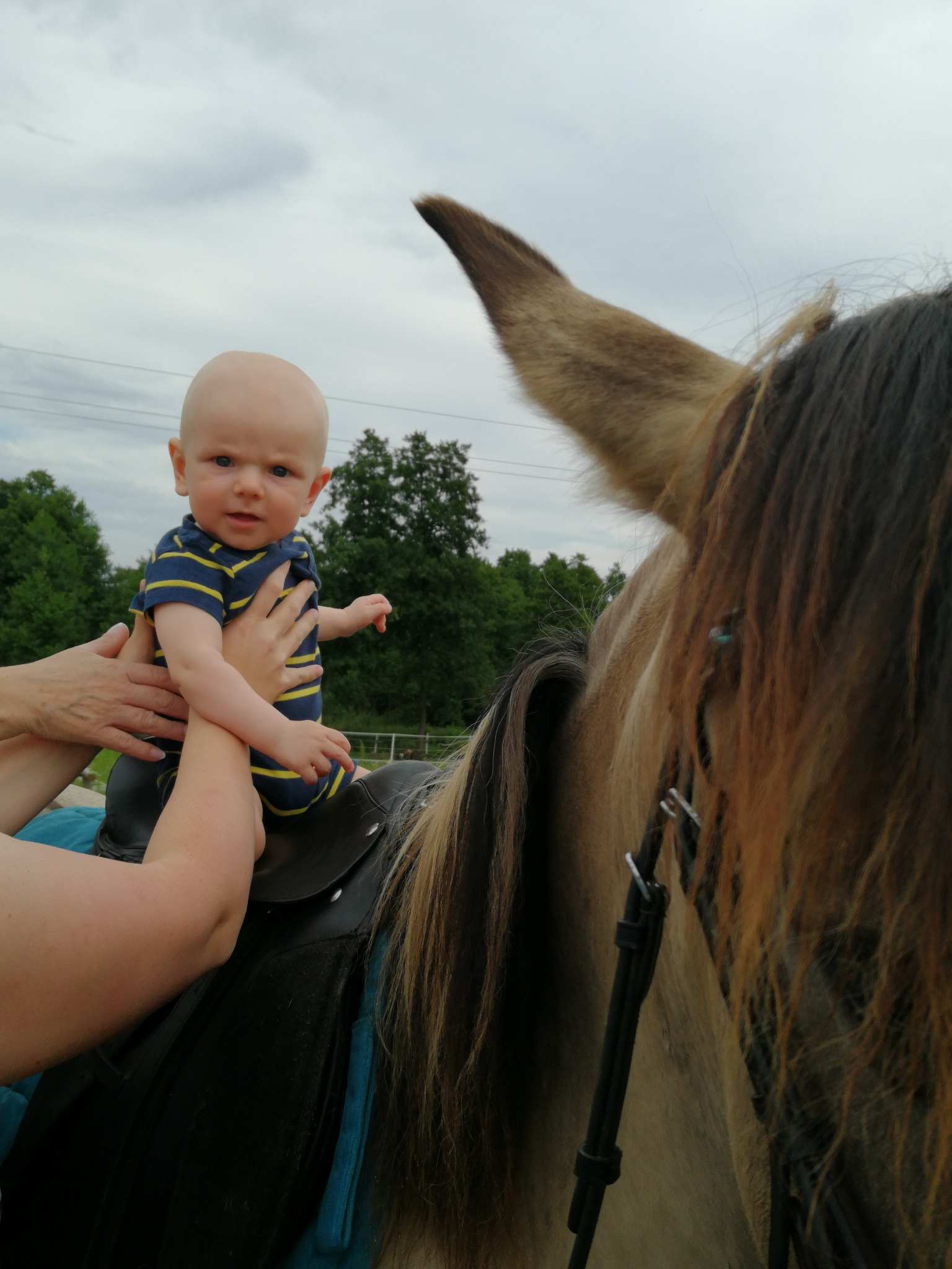 integracja z koniem już od pieluchy!