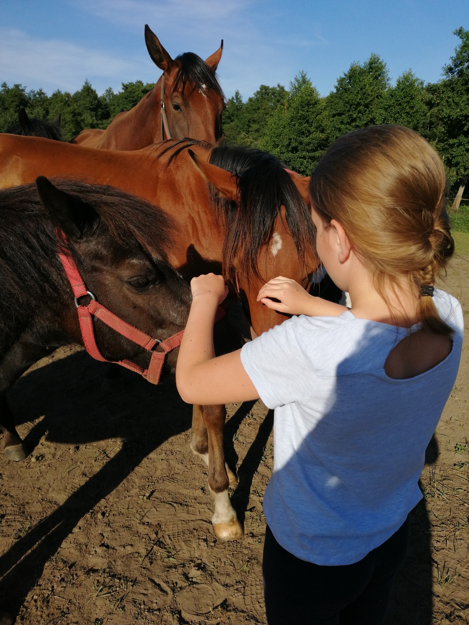 nasze konie są lekarstwem na wszystko!