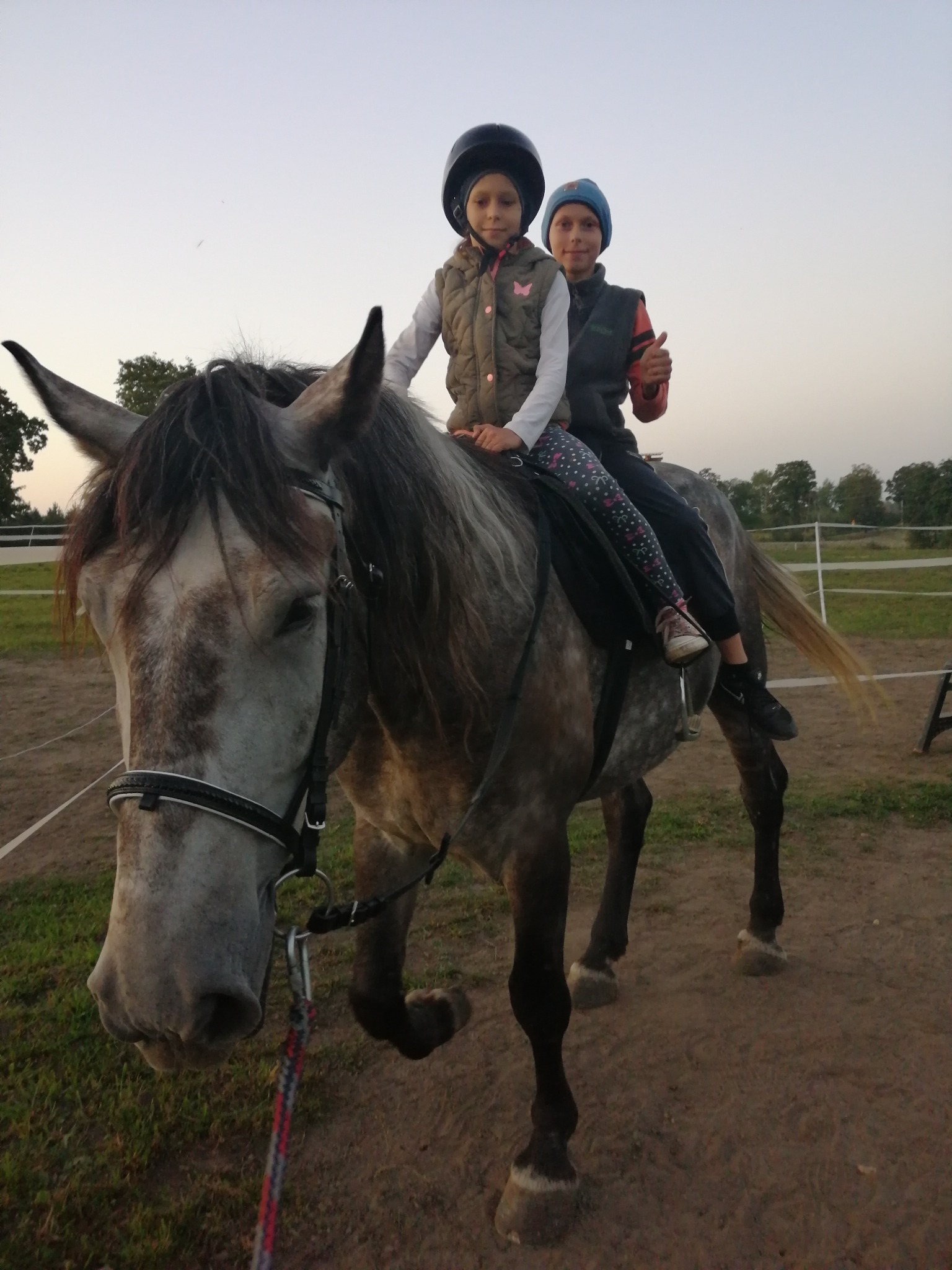 największe szczęście w świecie na końskim leży grzbiecie!