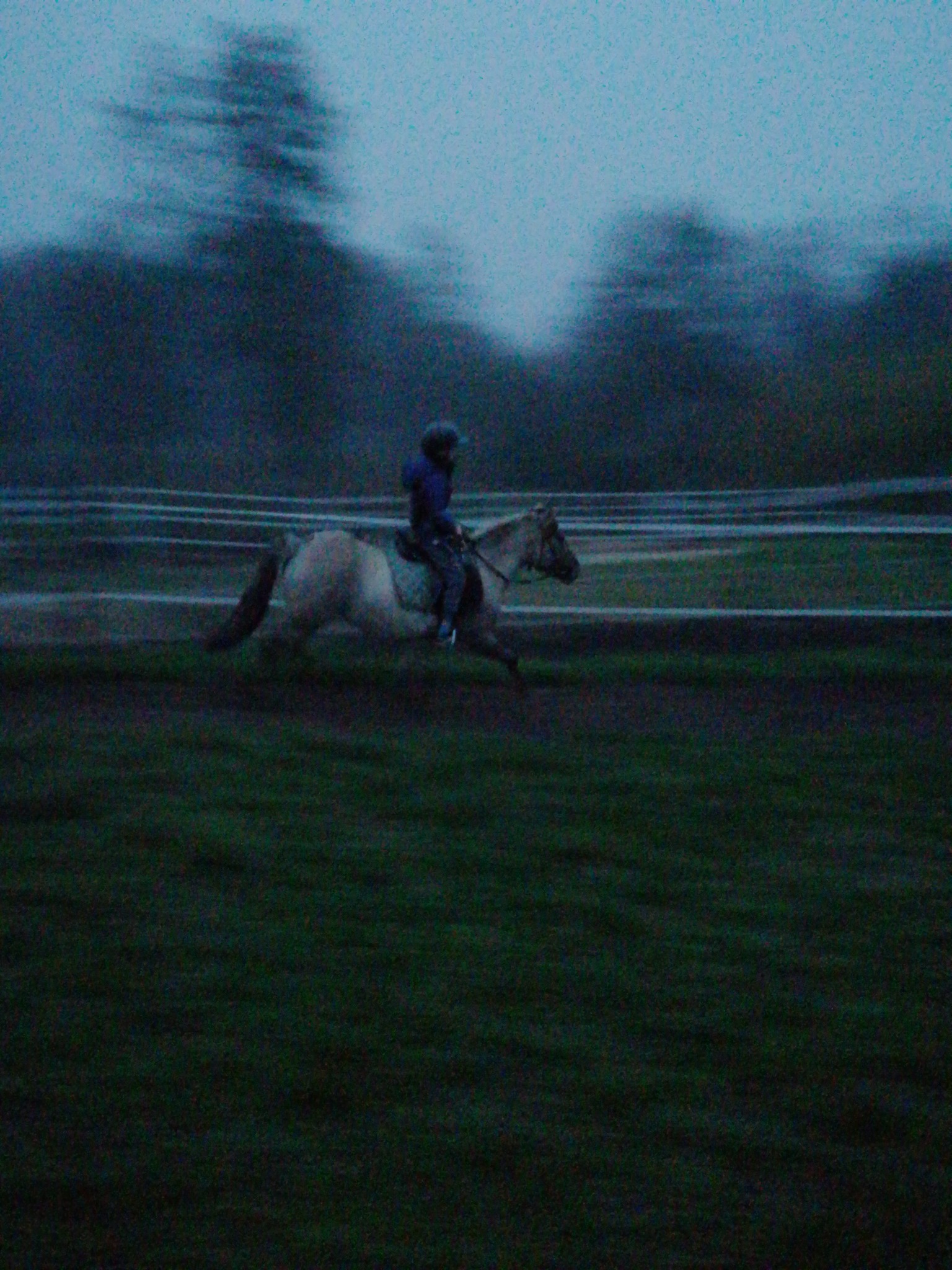 od rana do zmroku od stępa do galopu... od kucyka małego po konia dużego! nauczymy każdego!