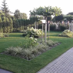 Starannie utrzymany ogród z równo przyciętym trawnikiem, formowanymi drzewami na palikach, kwitnącymi hortensjami i ozdobnymi trawami w geometrycznych rabatach.