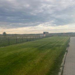 Gregory - Jodła - Równomiernie skoszony trawnik przylegający do chodnika z kostki, ogrodzony siatką, pod pochmurnym niebem. Widoczne pasy po koszeniu.