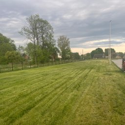 Gregory - Jodła - Rozległy trawnik po koszeniu, widoczne ślady po kosiarce, ogrodzenie z siatki, drzewa i budynki w tle, pochmurne niebo. Czerwony samochód zaparkowany obok.