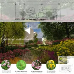 Wizualizacja projektu ogrodu osiedlowego z budynkiem w tle, przedstawiająca różnorodne rośliny kwitnące, w tym kozłka lekarskiego, długosza cynamonowego, łączeń baldaszkowy i kosaciec żółty. U góry...