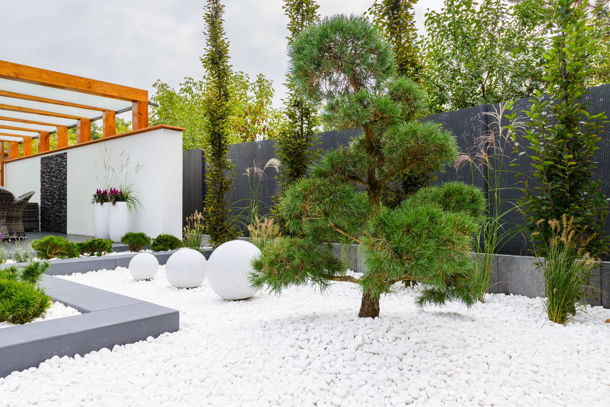 Nowoczesny ogród w Legionowie z białymi kamieniami, kulami dekoracyjnymi i formowaną sosną na tle drewnianej pergoli i ciemnego ogrodzenia.
