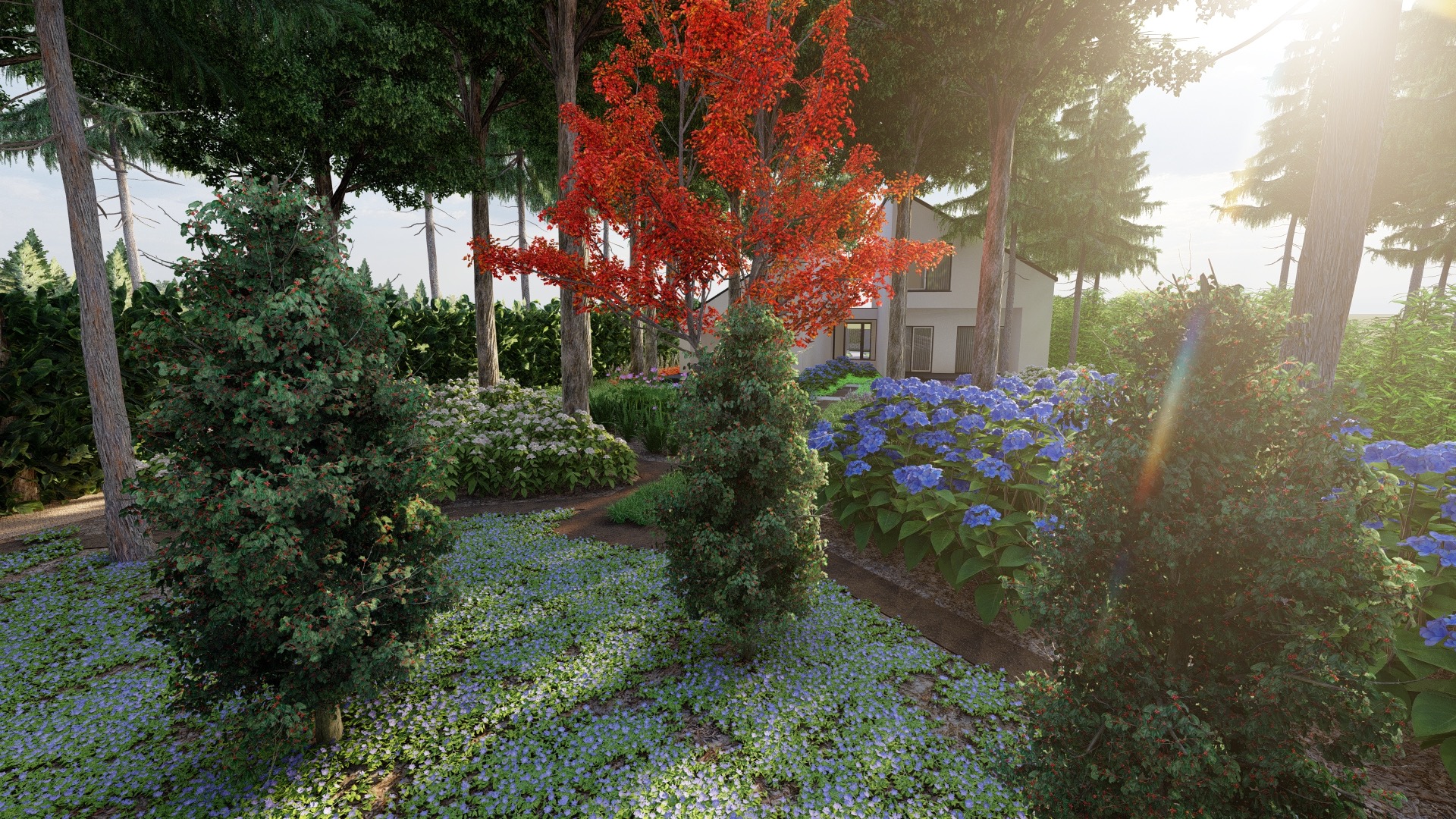 Wizualizacja ogrodu z kwitnącymi niebieskimi hortensjami, czerwonym drzewem i ścieżką prowadzącą do nowoczesnego domu w tle.