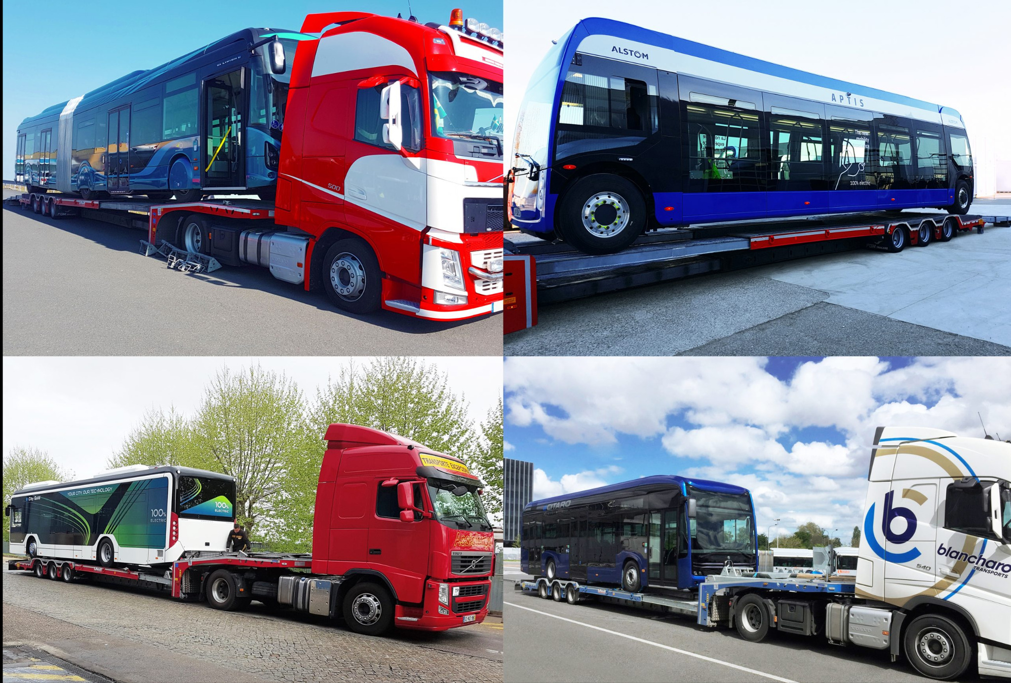 Cztery ujęcia ciężarówek transportujących autobusy miejskie na niskopodwoziowych lawetach, w tym elektryczne modele Alstom Aptis i inne, z różnymi oznaczeniami firm przewozowych i kolorystyką...