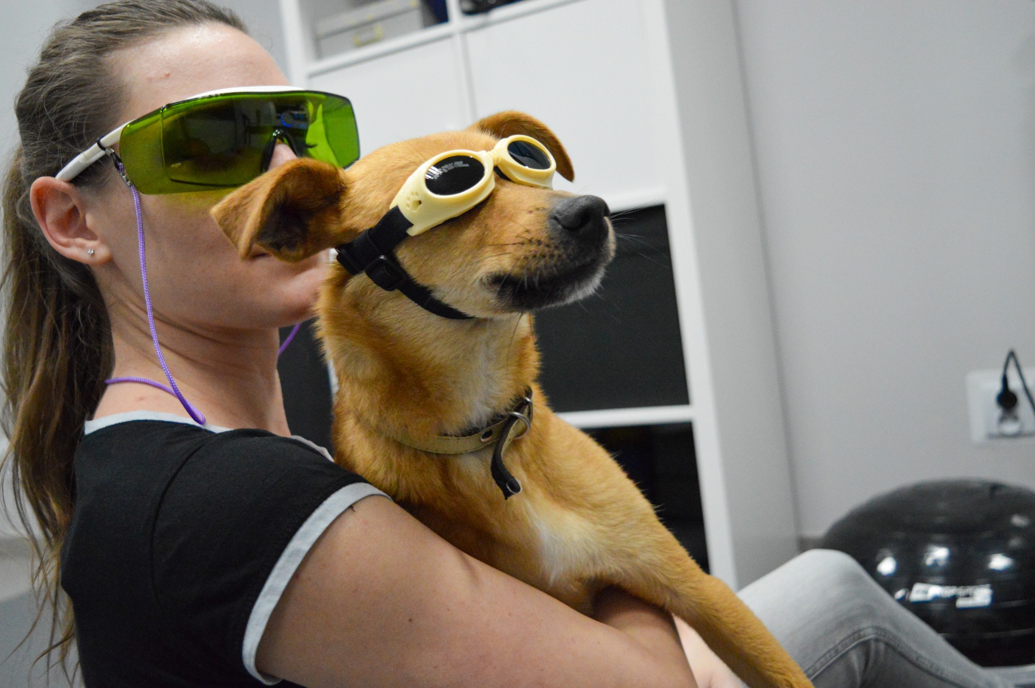 Kobieta trzyma na rękach psa w ochronnych goglach; oboje mają założone okulary ochronne przed laserem.