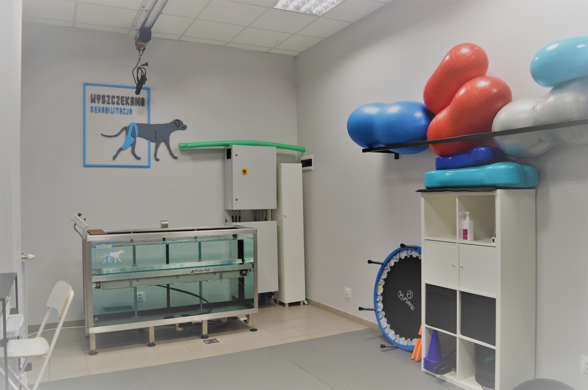 Wnętrze gabinetu z wanną do hydroterapii dla zwierząt, na ścianie grafika psa w ortezie, obok szafka z piłkami rehabilitacyjnymi.