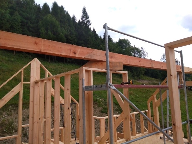 Wznoszenie drewnianej konstrukcji budynku na tle zalesionego wzgórza, widoczne rusztowanie i narzędzia.