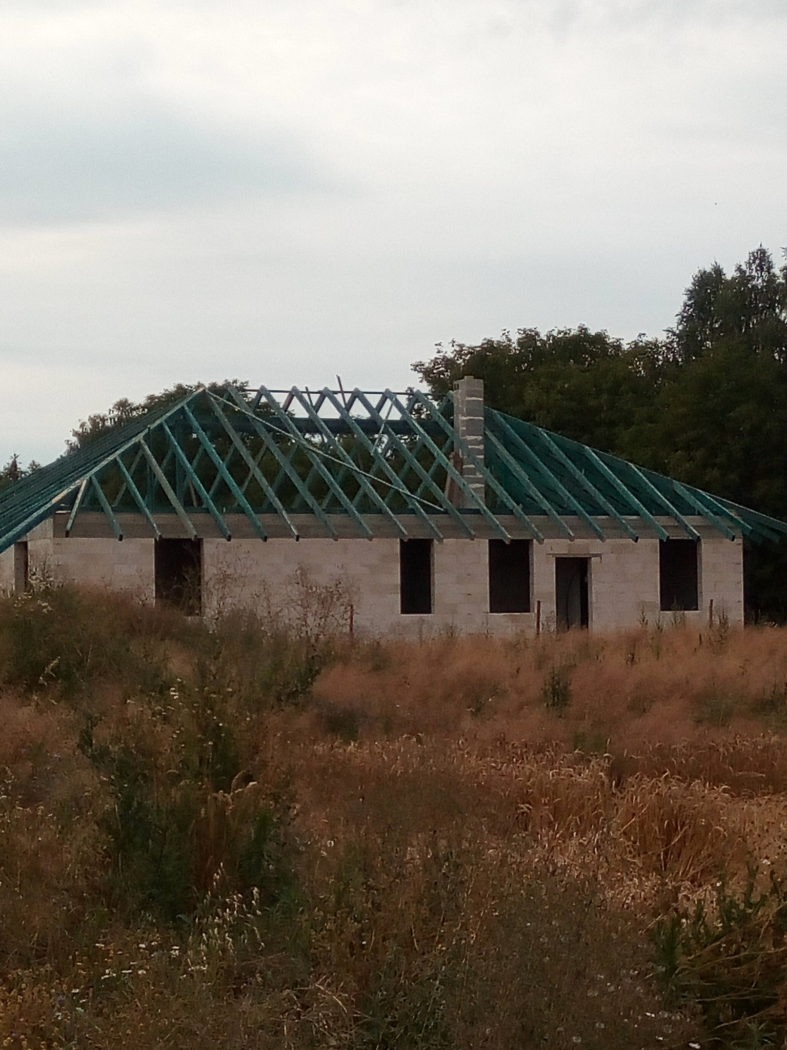 Surowy stan budynku z widoczną konstrukcją dachu i kominem, otoczony wysoką trawą i drzewami w tle.