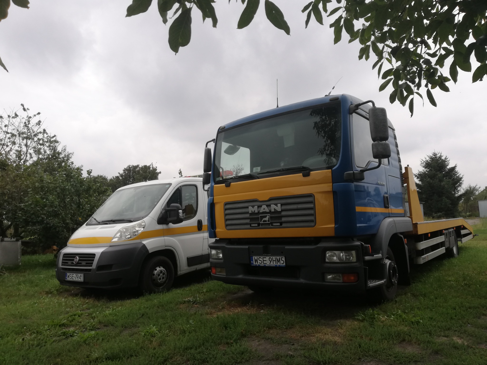 Niebiesko-żółta ciężarówka MAN z platformą do przewozu pojazdów, zaparkowana obok białego busa Fiat Ducato z żółtym pasem, na trawiastym terenie pod drzewami w pochmurny dzień.